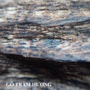 TRAM HUONG